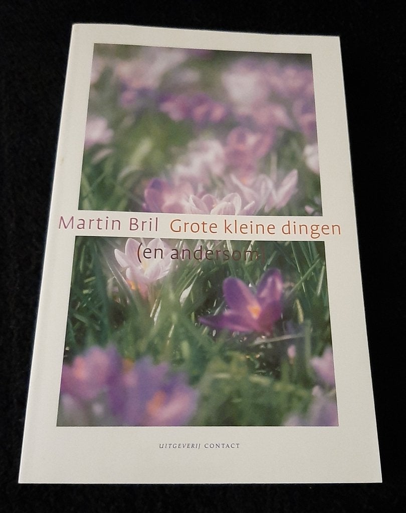 Grote Kleine Dingen (en andersom) - Martin Bril, Boeken, Ophalen, Zo goed als nieuw