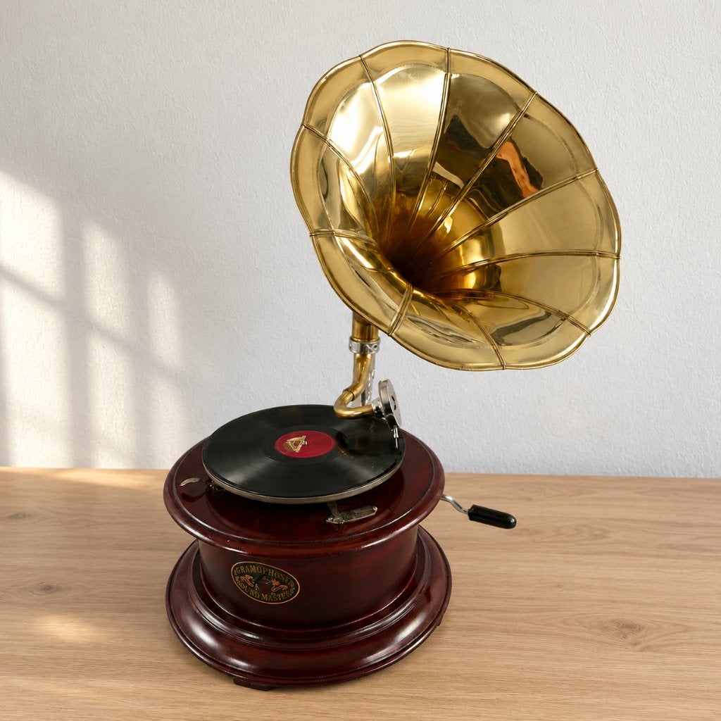 Platenspeler - Grammofoon, Ophalen of Verzenden, Nieuw, Platenspeler, Overige merken