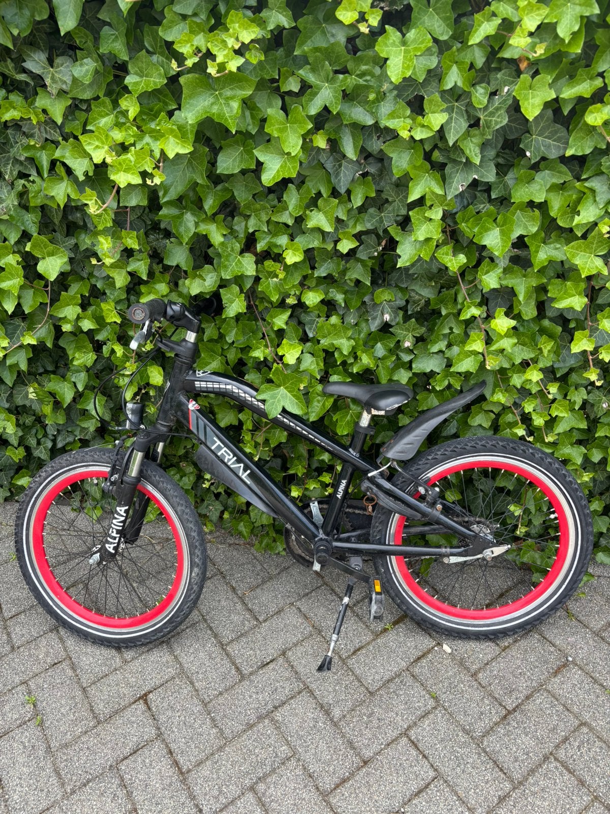 Alpina Trial 20 inch jongensfiets, Fietsen en Brommers, Fietsen | Jongens, Ophalen, Terugtraprem, Gebruikt, Handrem