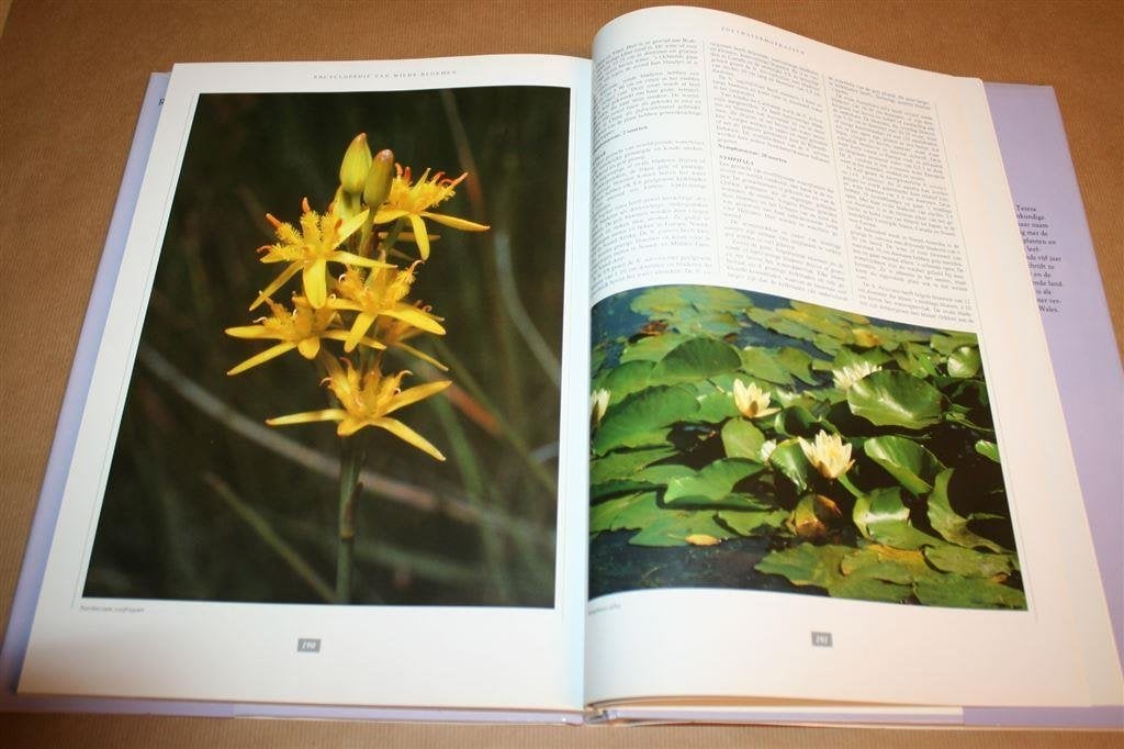 Wilde bloemen. Rebo Foto-Encyclopedie - Meer dan 300 foto\'s, Boeken, Ophalen of Verzenden, Zo goed als nieuw, Bloemen, Planten en Bomen