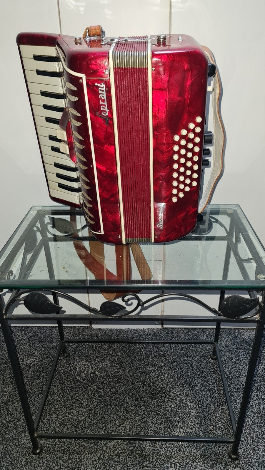 Playback accordeon, Ophalen of Verzenden, Nieuw, Overige merken, Met riemen
