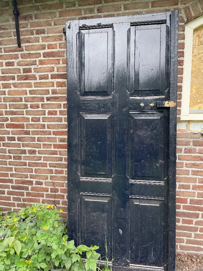 Gratis afhalen 2 deuren, Doe-het-zelf en Verbouw, Ophalen, Gebruikt, 80 tot 100 cm, 215 cm of meer