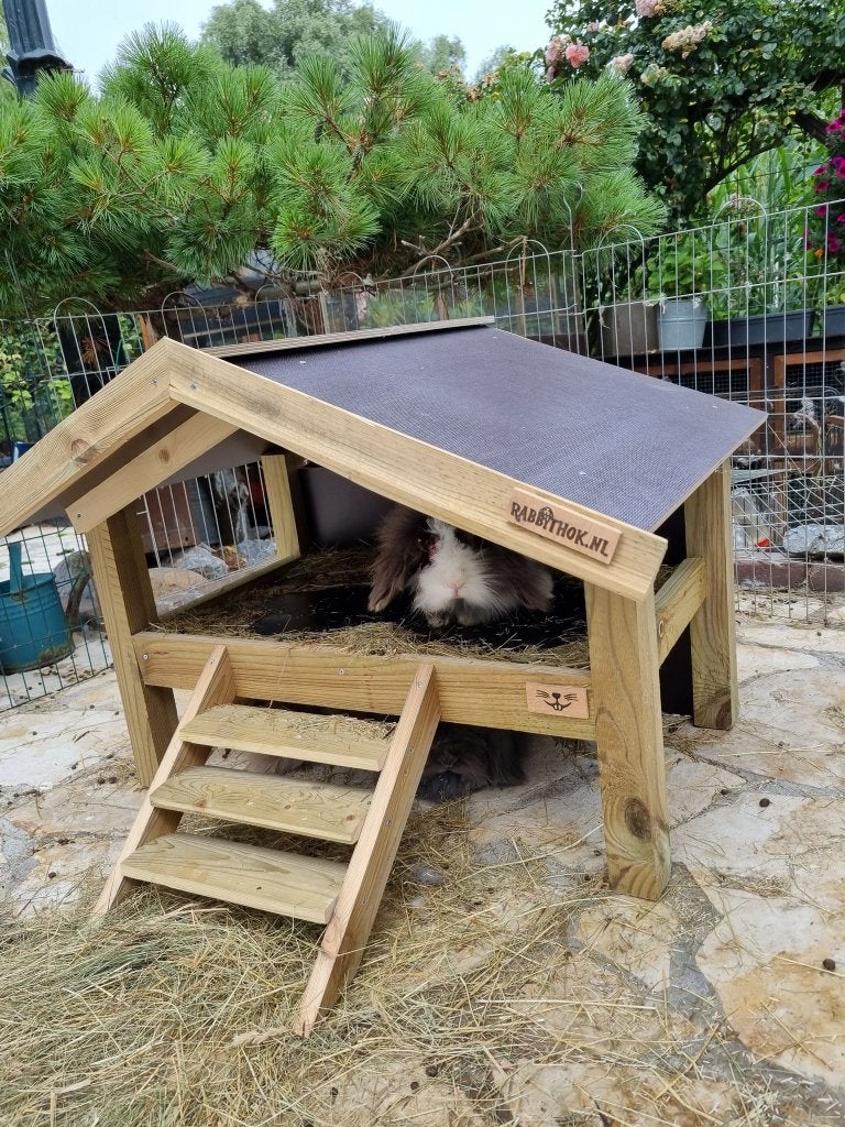 konijnen ren-hok Sunny, 60 tot 90 cm, Nieuw, Ophalen of Verzenden, Konijn