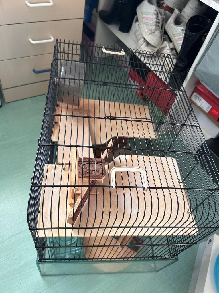 hamsterkooi of kleine knaagdieren, Ophalen, Kooi, 60 tot 90 cm, Minder dan 75 cm