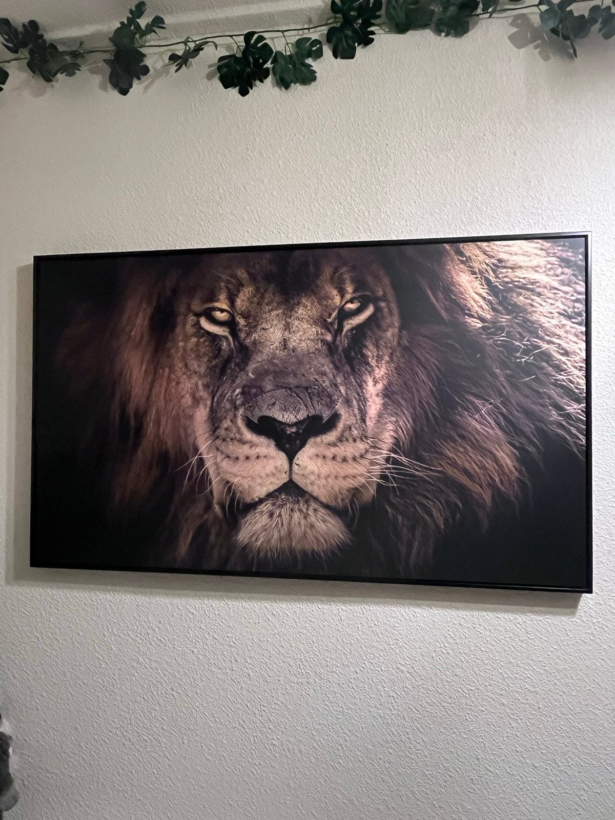Indrukwekkende Leeuwenkop Canvas Schilderij, 50 – 75, Ophalen of Verzenden, Zo goed als nieuw, Schilderij