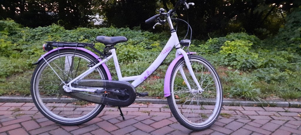 Pegasus meisjesfiets 24 inch, Ophalen, Gebruikt, Terugtraprem, 20 inch of meer