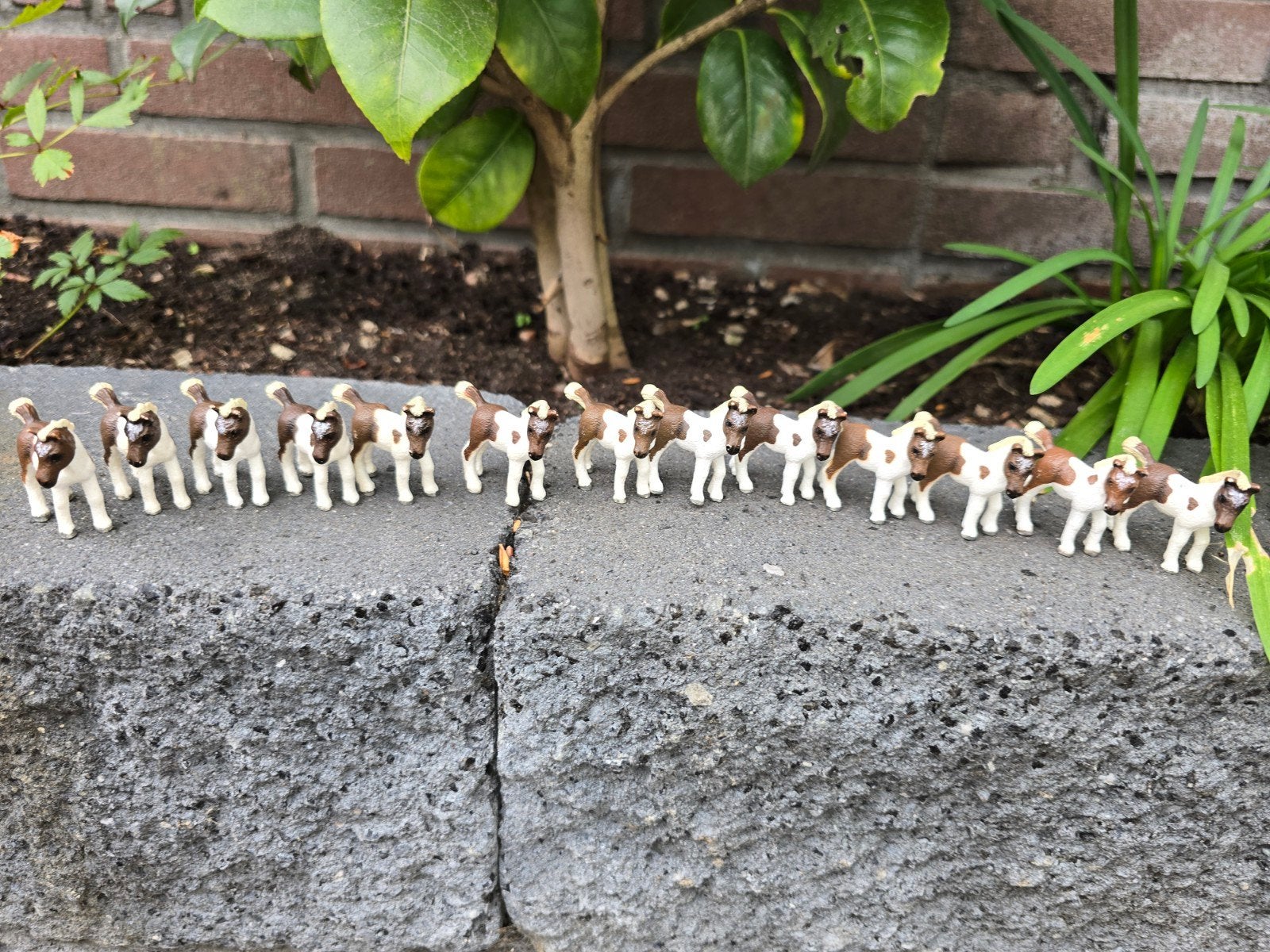schleich paarden zgan, Verzamelen, Ophalen of Verzenden, Zo goed als nieuw, Paard, Beeldje of Figuurtje