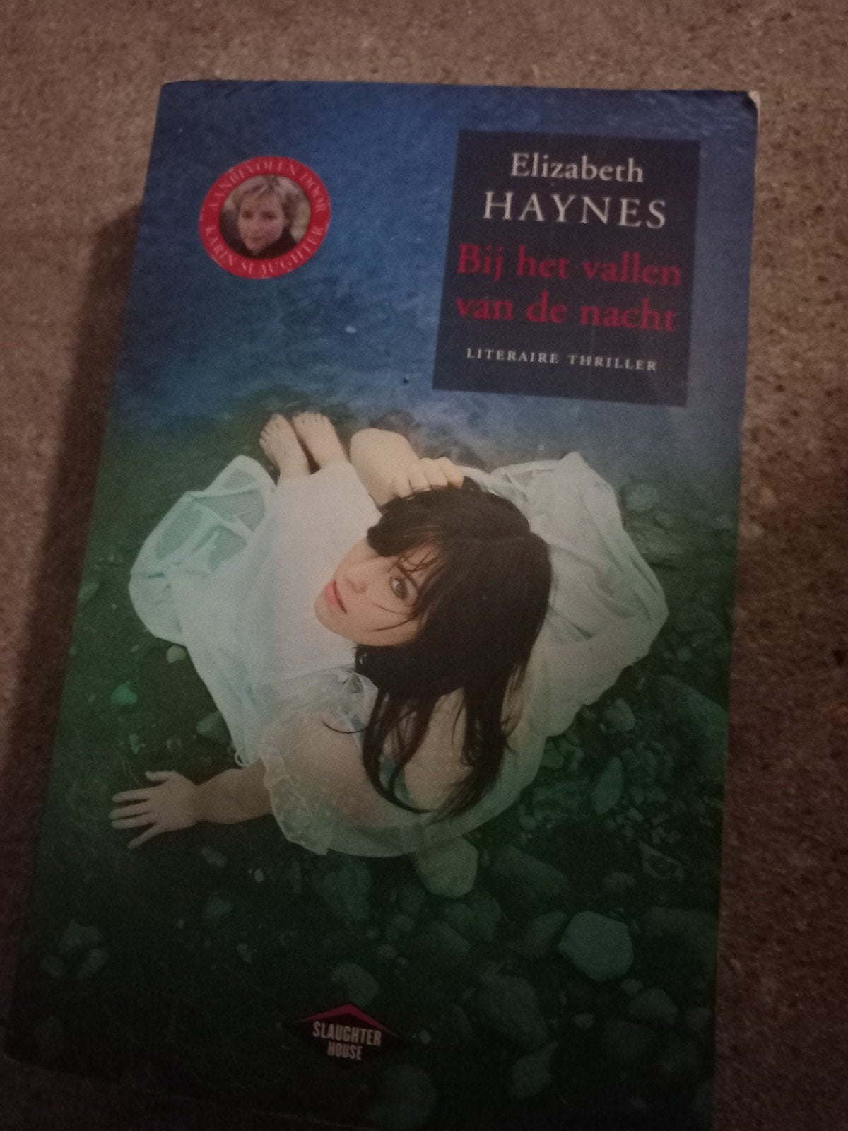 Elizabeth Haynes - Bij het vallen van de nacht, Boeken, Ophalen of Verzenden, Zo goed als nieuw