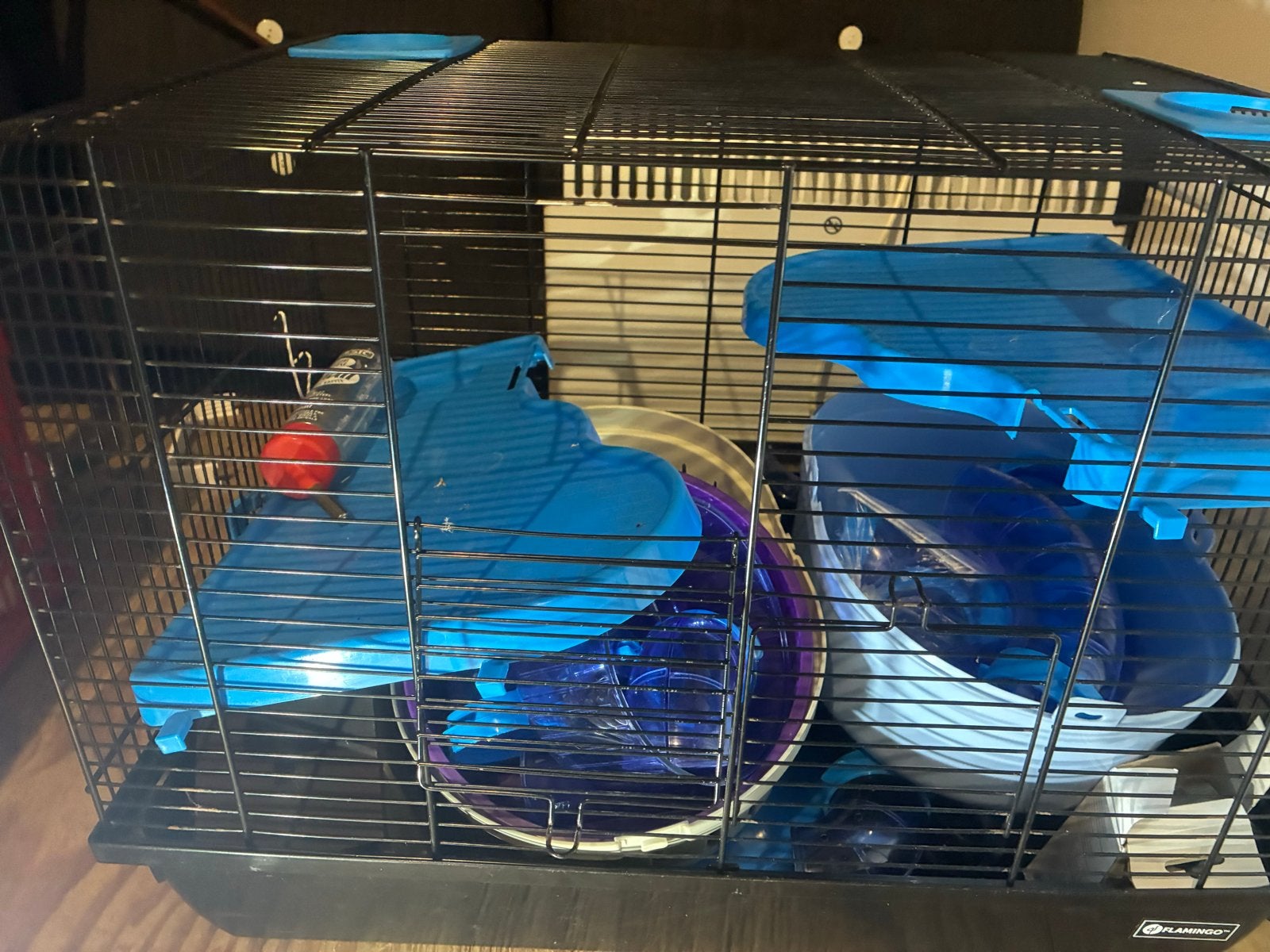 Hamsterkooi, Dieren en Toebehoren, Kooi, Minder dan 75 cm, Hamster, Ophalen