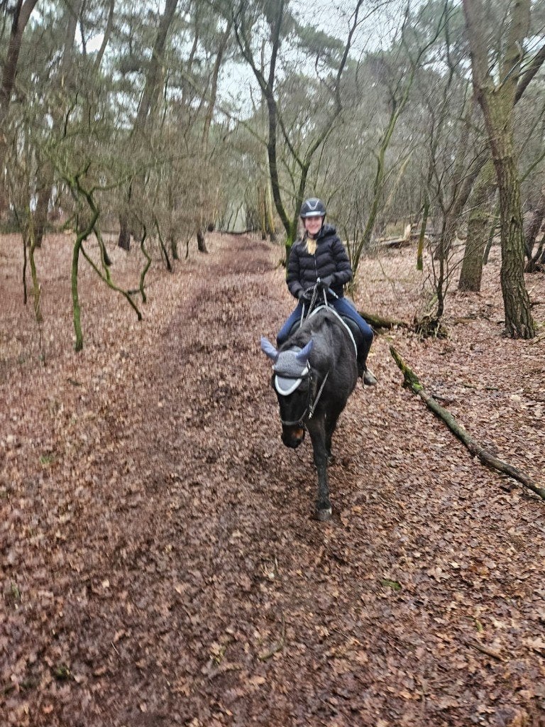 Bijrijder-/ verzorger aangeboden, Dieren en Toebehoren