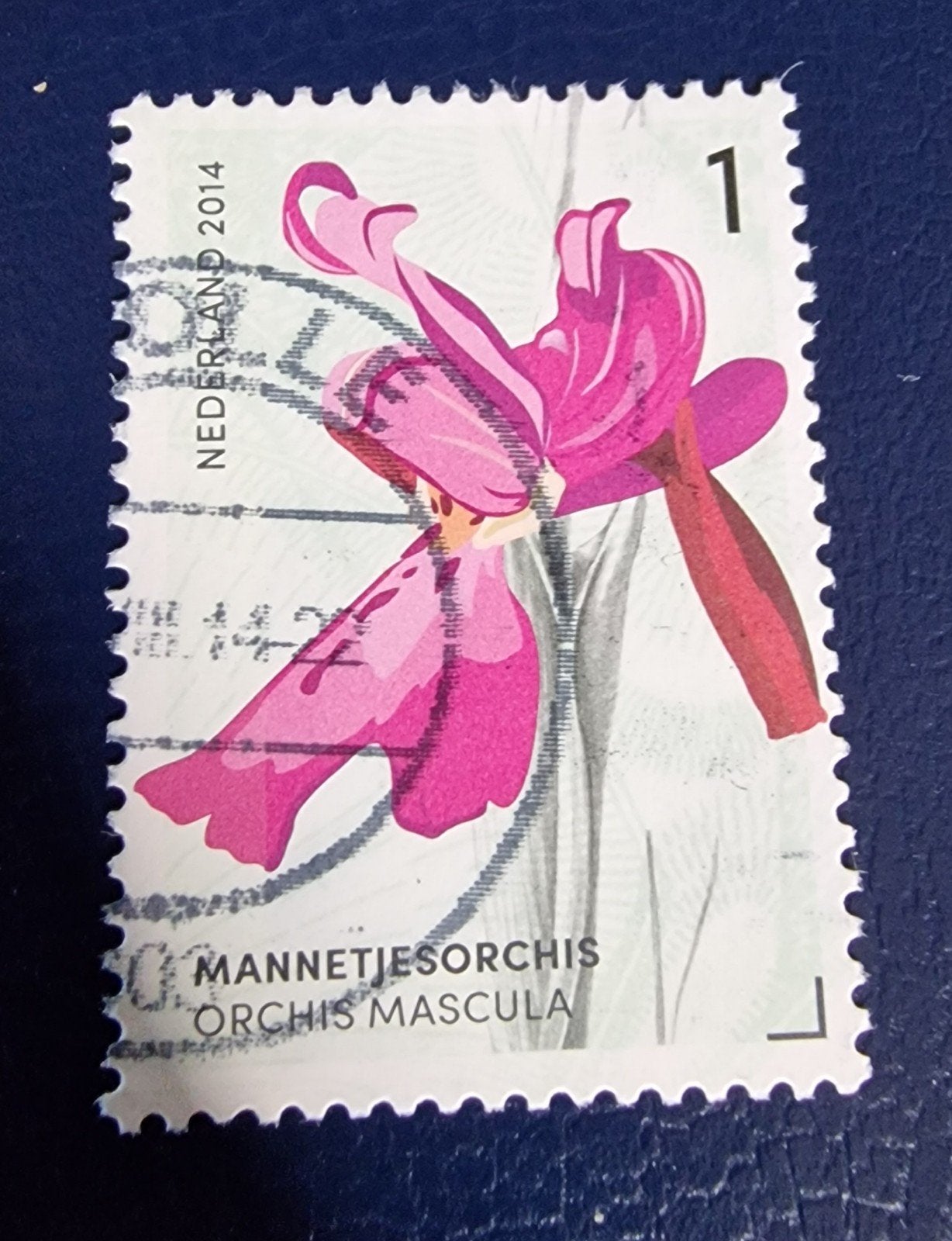 kv708- 2014 nvph 3182 Mannetjesorchis Gestempeld, Ophalen of Verzenden, Na 1940, Gestempeld