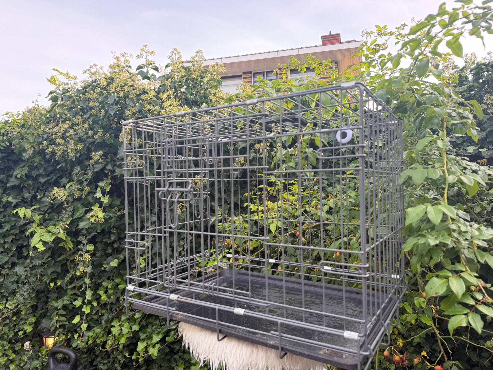 Honden Bench ( inklapbaar ), Ophalen, Zo goed als nieuw