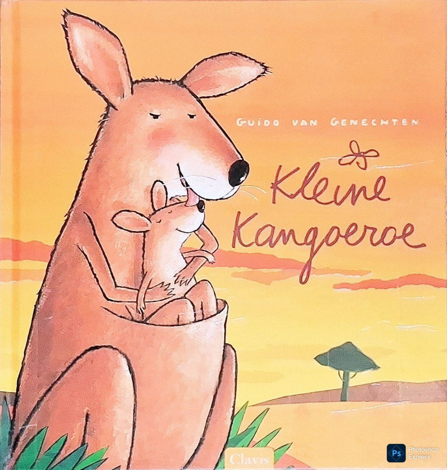 Kleine Kangoeroe, Gelezen, Fictie algemeen, Jongen of Meisje, Ophalen of Verzenden