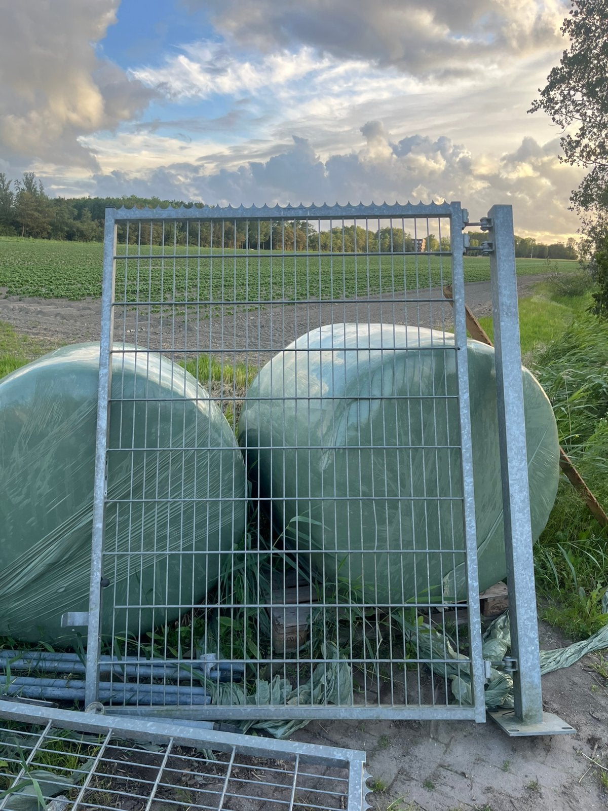 Dubbele poort, Tuin en Terras, Tuinhekken en Hekwerk, Ophalen of Verzenden, IJzer