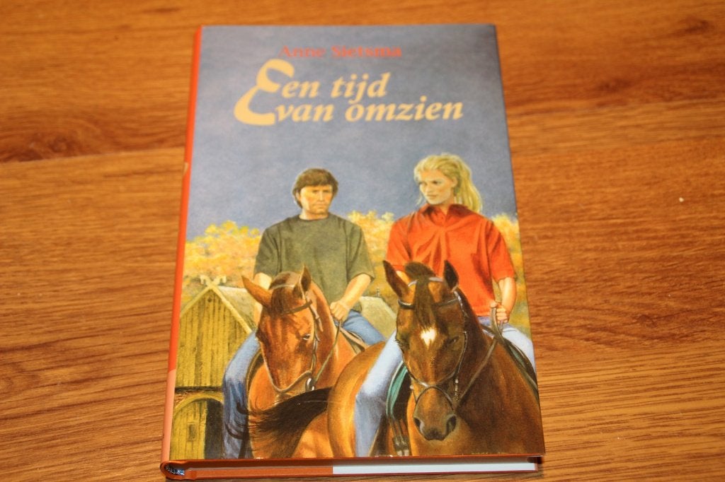 een tijd van omzien, Ophalen of Verzenden, Zo goed als nieuw, Anne sietsma