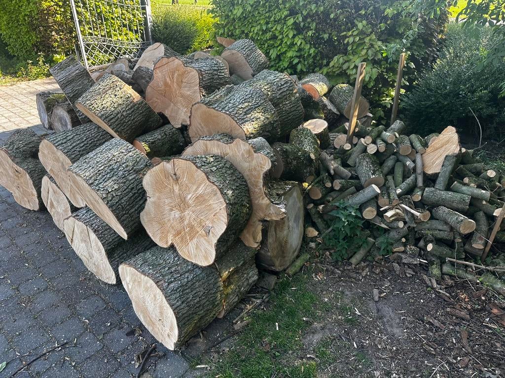 Haardhout, 6 m³ of meer, Ophalen of Verzenden