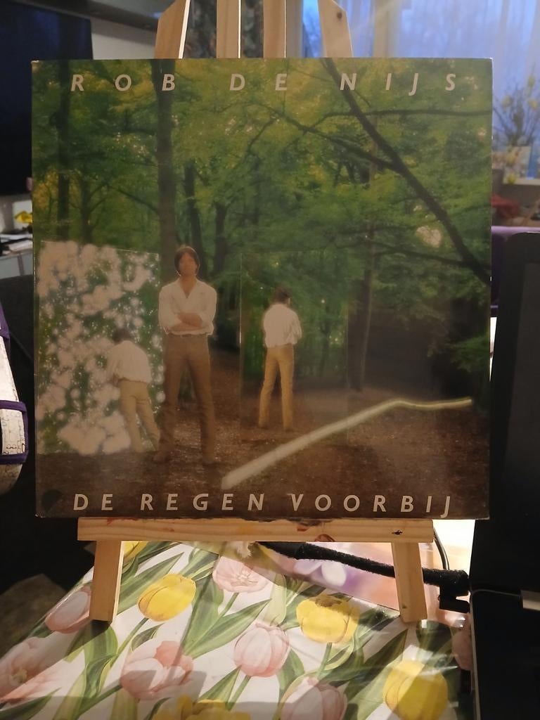 Rob de Nijs - De Regen Voorbij plaat, Cd's en Dvd's, Vinyl | Nederlandstalig, Ophalen of Verzenden, Gebruikt, 12 inch, Levenslied of Smartlap