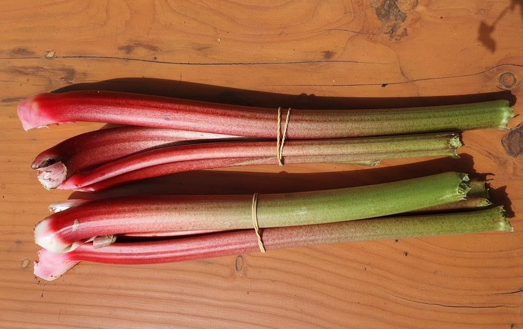 Verse rabarber (biologisch), Ophalen