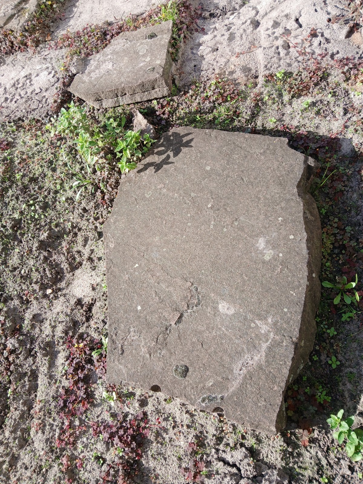 Flat stones, Tuin en Terras, Ophalen