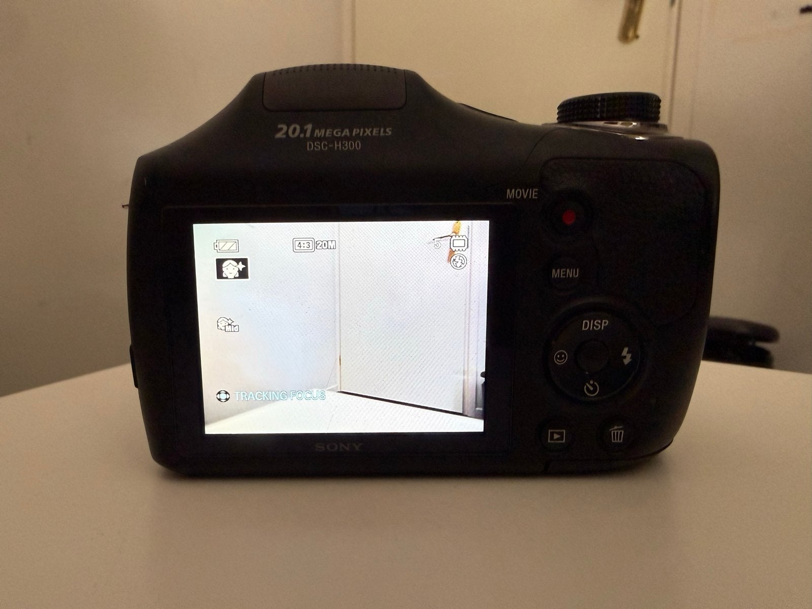 Sony DSC-H300 Bridgecamera - Defect (batterijcorrosie), Audio, Tv en Foto, Fotocamera's Digitaal, Gebruikt, Ophalen of Verzenden