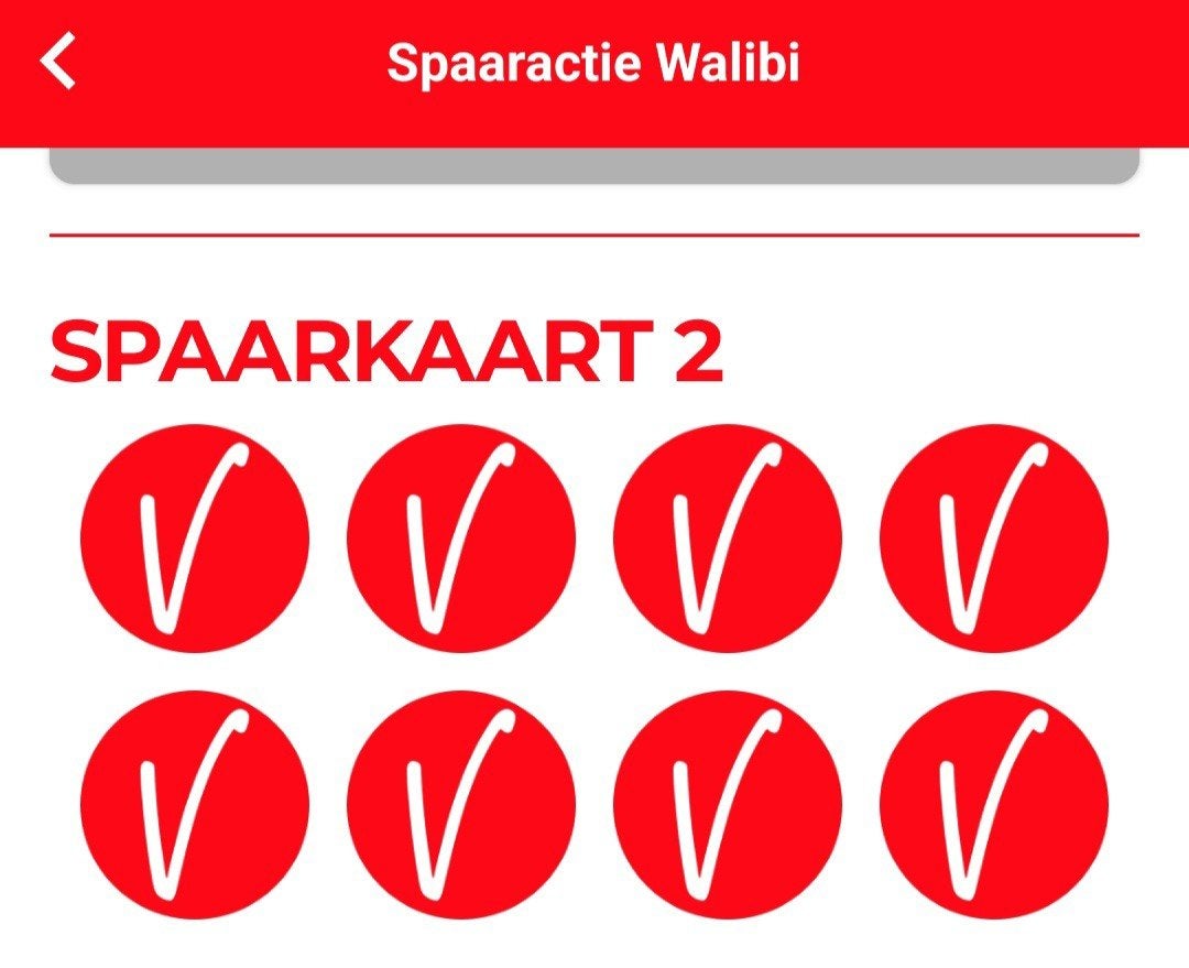 2e persoon gratis voor Walibi ( zie omschrijving), Twee personen, Kortingskaart