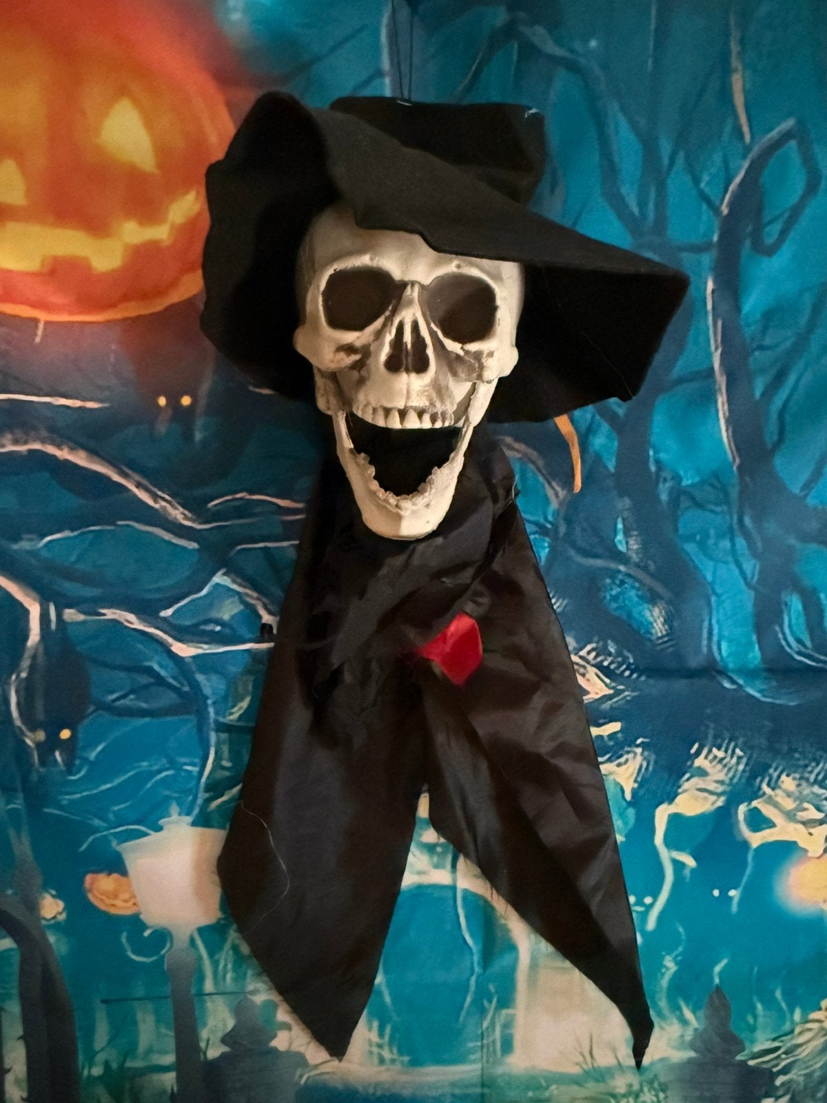 Halloween, Ophalen of Verzenden, Halloween of Griezel
