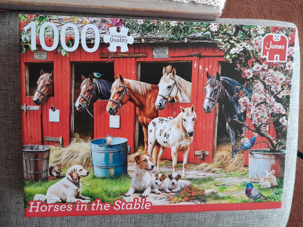 Jumbo legpuzzel 1000 stukjes, Ophalen, 500 t/m 1500 stukjes, Zo goed als nieuw