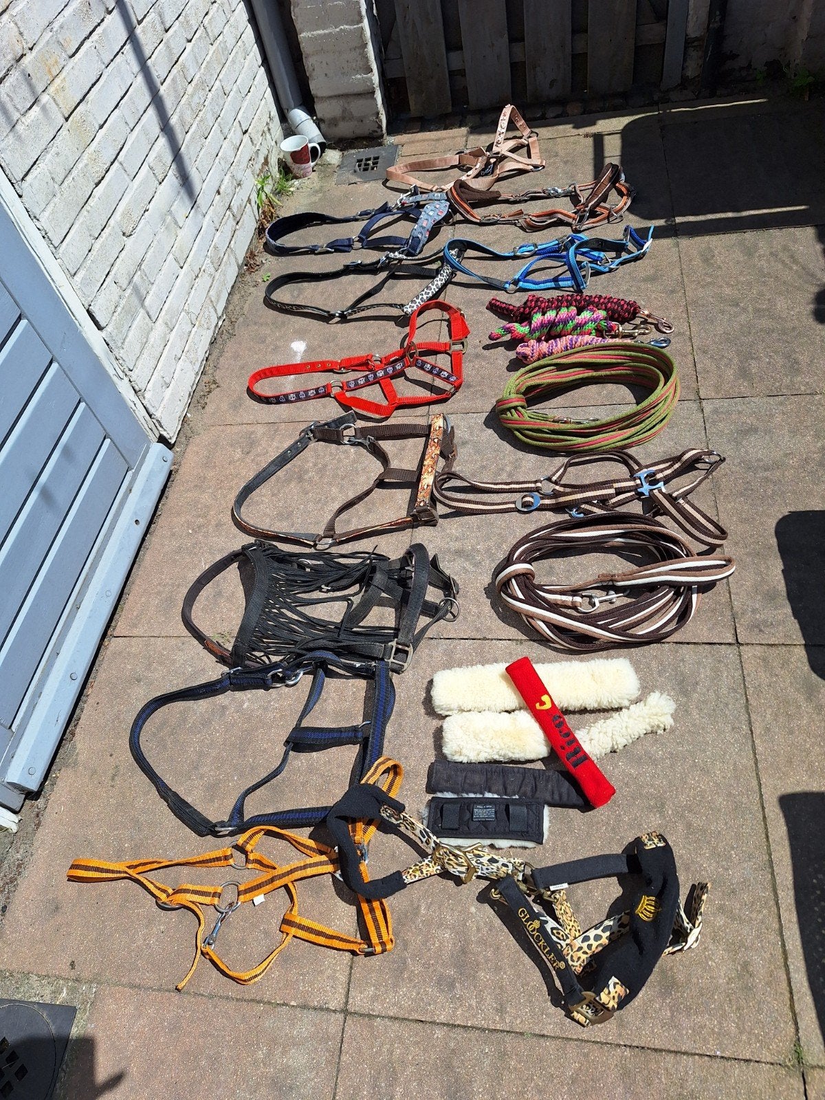 Halsters , bontjes, longeerlijnen  vriligheidshalsters ,touw, Dieren en Toebehoren, Ophalen of Verzenden, Overige soorten