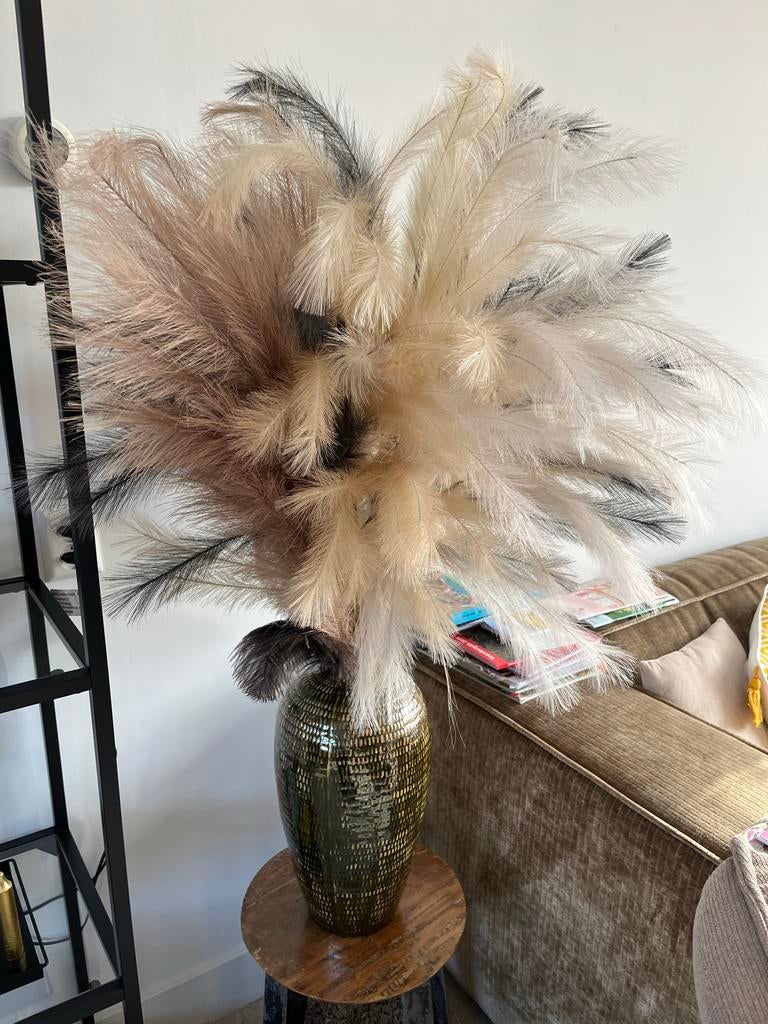 Vaas met pluimen - Decoratieve set voor elk interieur, Huis en Inrichting, Ophalen, Overige materialen, Overige kleuren, Zo goed als nieuw