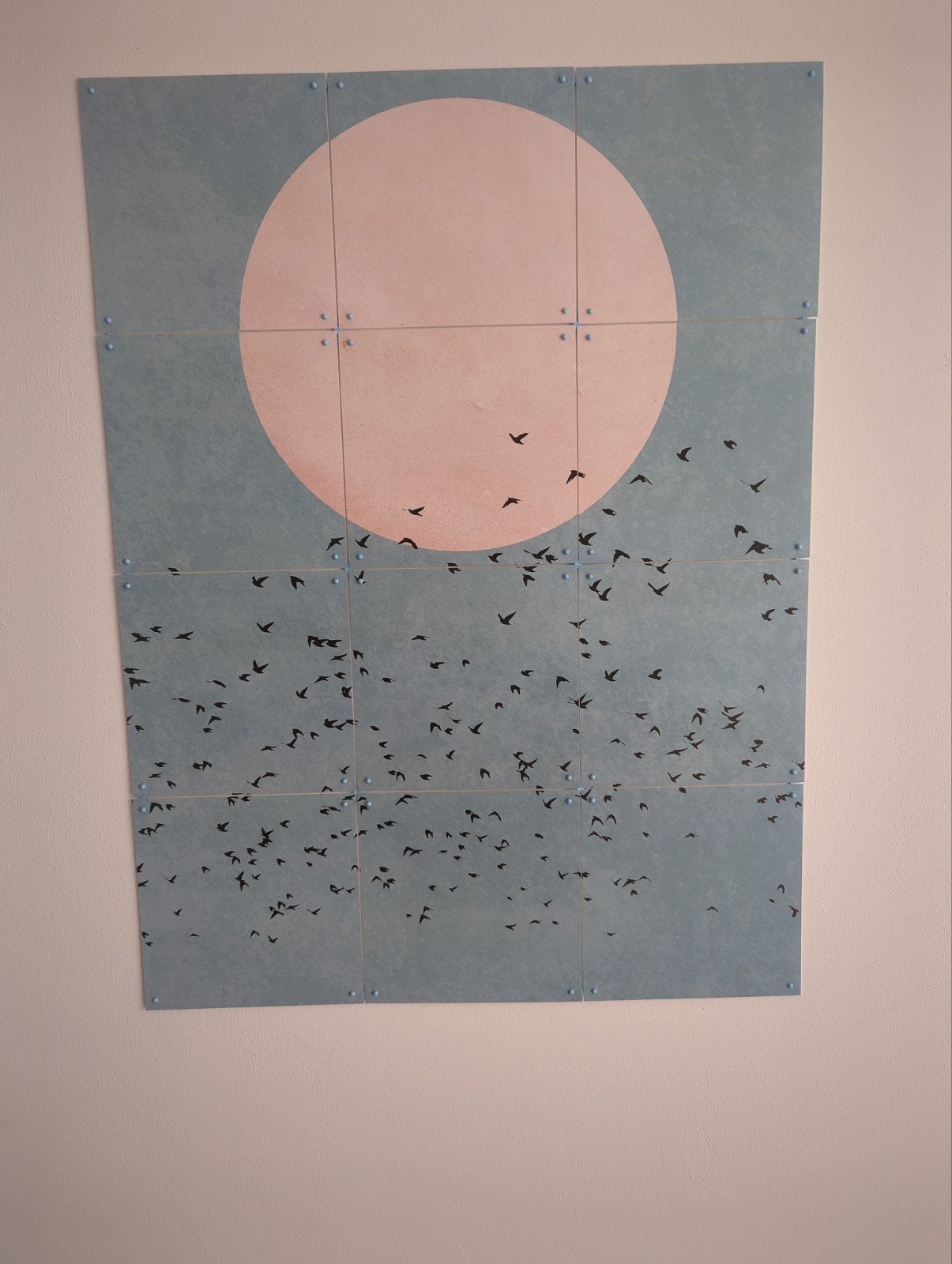 IXXI  zon met vogels, Ophalen, 80 cm, Zo goed als nieuw, Met ophangsysteem