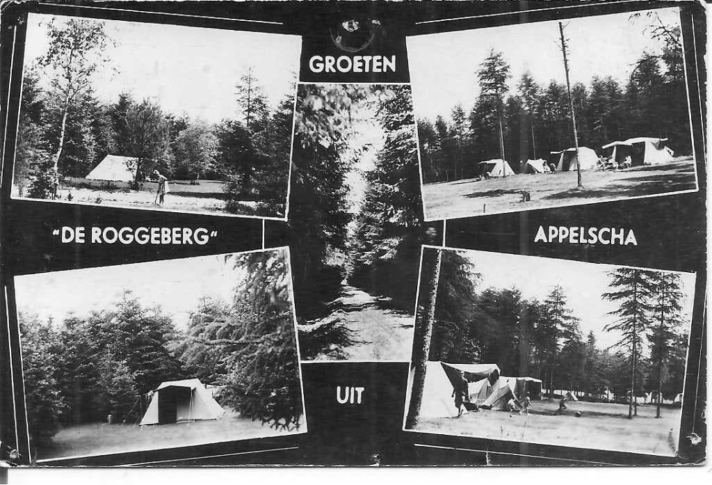 Ansichtkaart Recreatiecentrum De Roggeberg Appelscha, Ophalen of Verzenden, 1960 tot 1980, Gelopen, Friesland