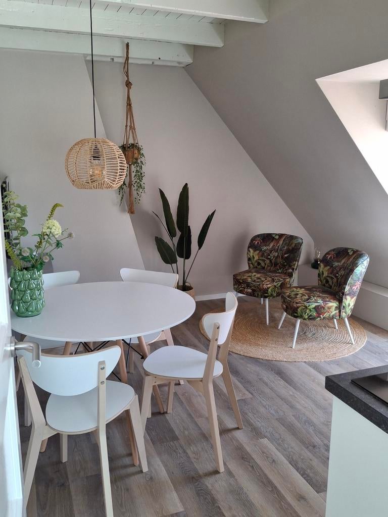 Vierdaagse appartement 2--4 personen met overal airco, Huizen en Kamers, Kamers te huur, 50 m² of meer, Nijmegen