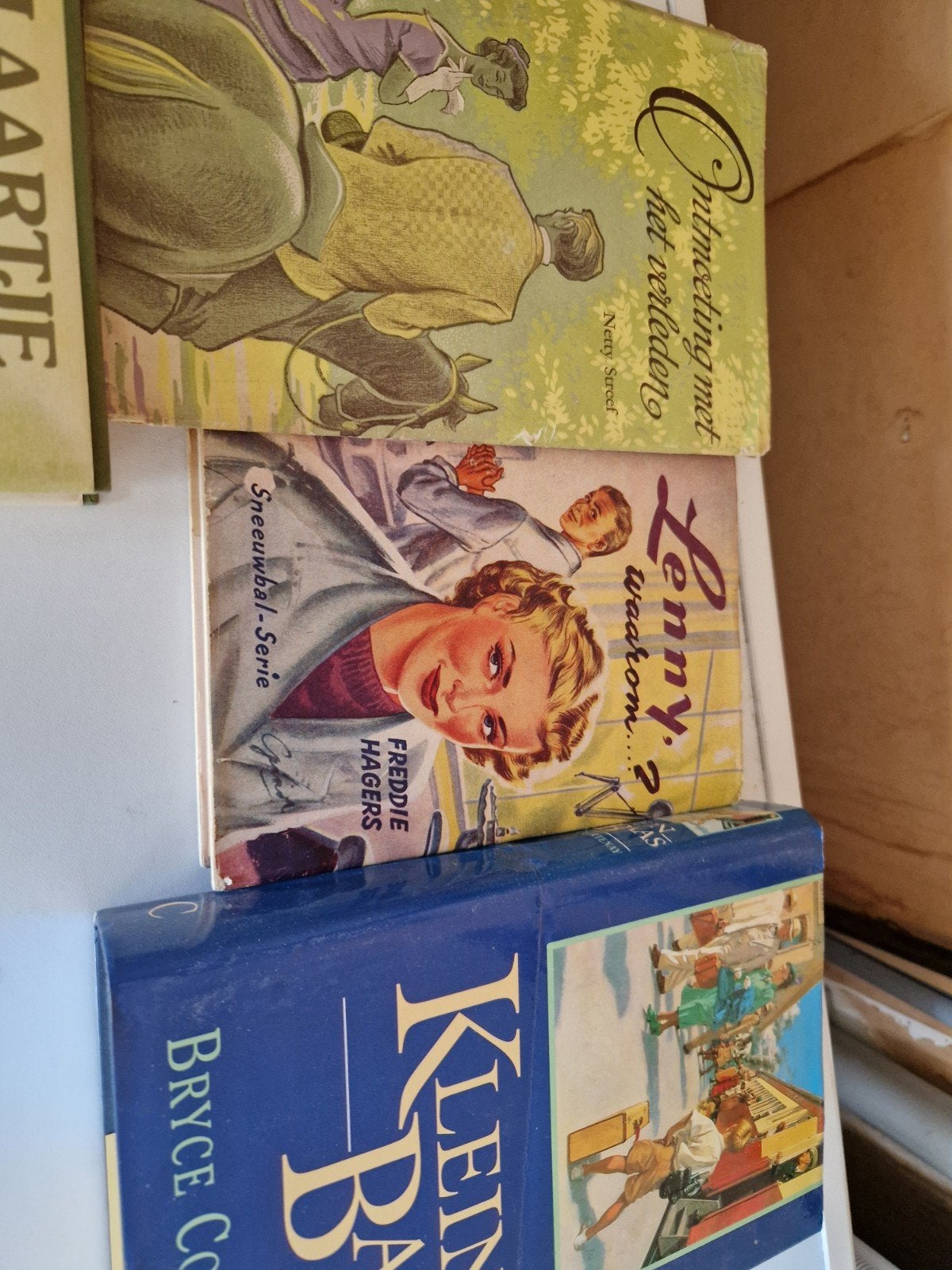 Vintage boekenaas, Verzenden, Gelezen, Diverse auteurs, Nederland
