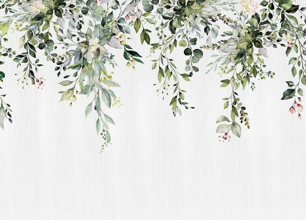 Hangende bladeren fotobehang Eucalyptus 375x270 Ook Op Maat, Huis en Inrichting, Stoffering | Behang, Verzenden