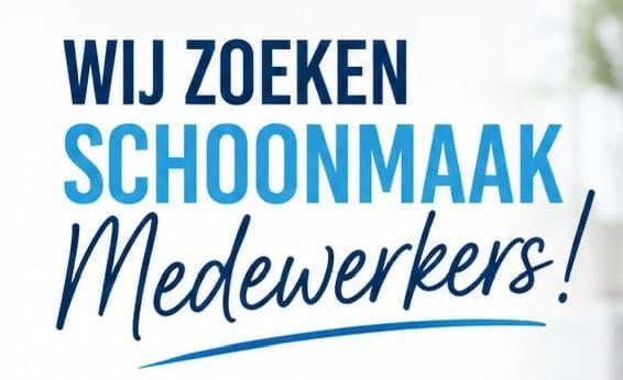 Gezocht schoonmaakster, Overige niveaus, Overige vormen