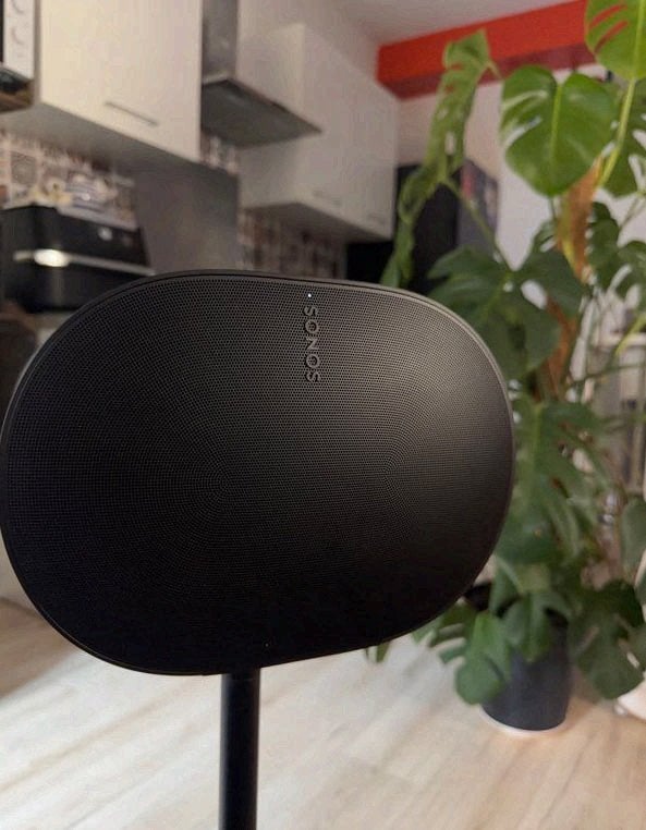 Sonos Era 300 – set van 2