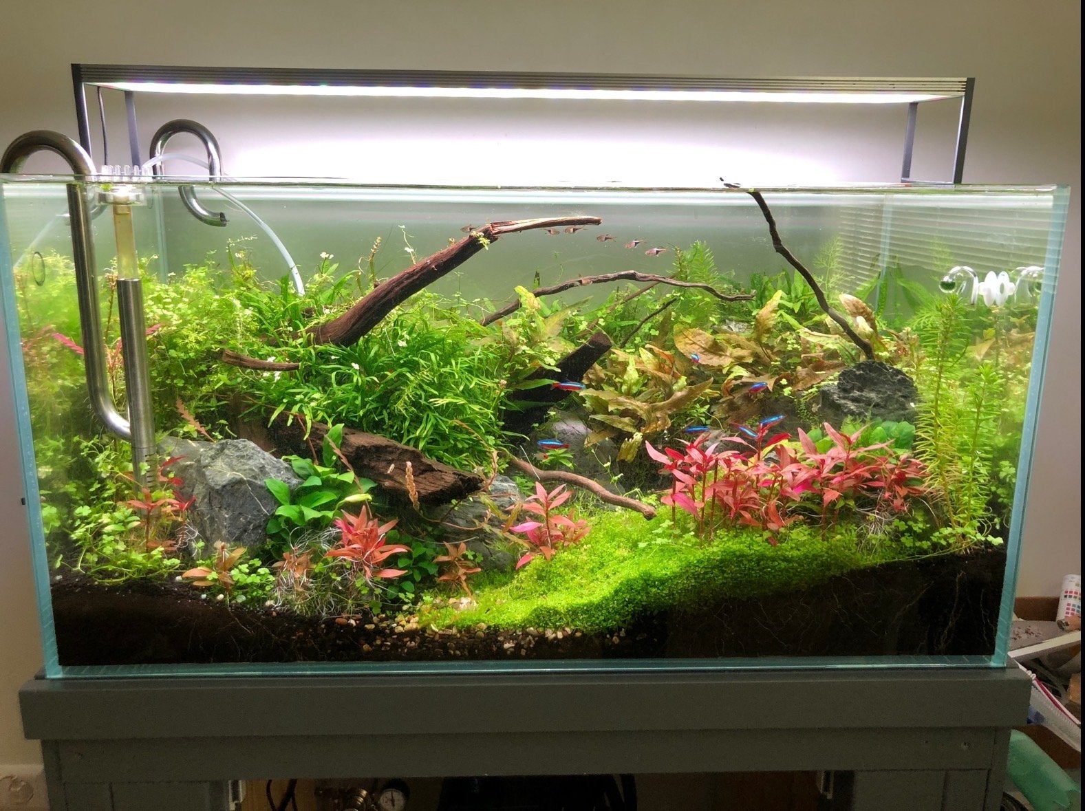 Aquarium (200L) met filter en led lamp., Dieren en Toebehoren, Ophalen, Zo goed als nieuw, Leeg aquarium