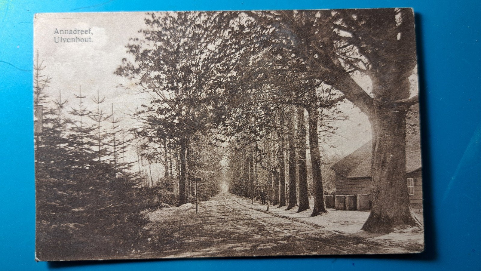Ulvenhout Annadreef, Verzamelen, Ophalen of Verzenden, Voor 1920, Ongelopen, Noord-Brabant