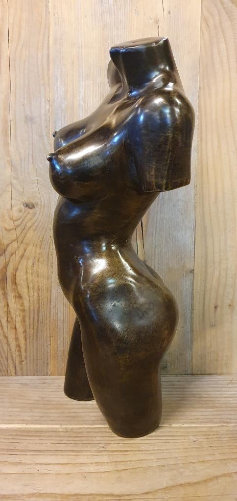TORSO / MAN/ VROUW / Bronzen beeld, Antiek en Kunst, Kunst | Beelden en Houtsnijwerken, Ophalen of Verzenden, Brons