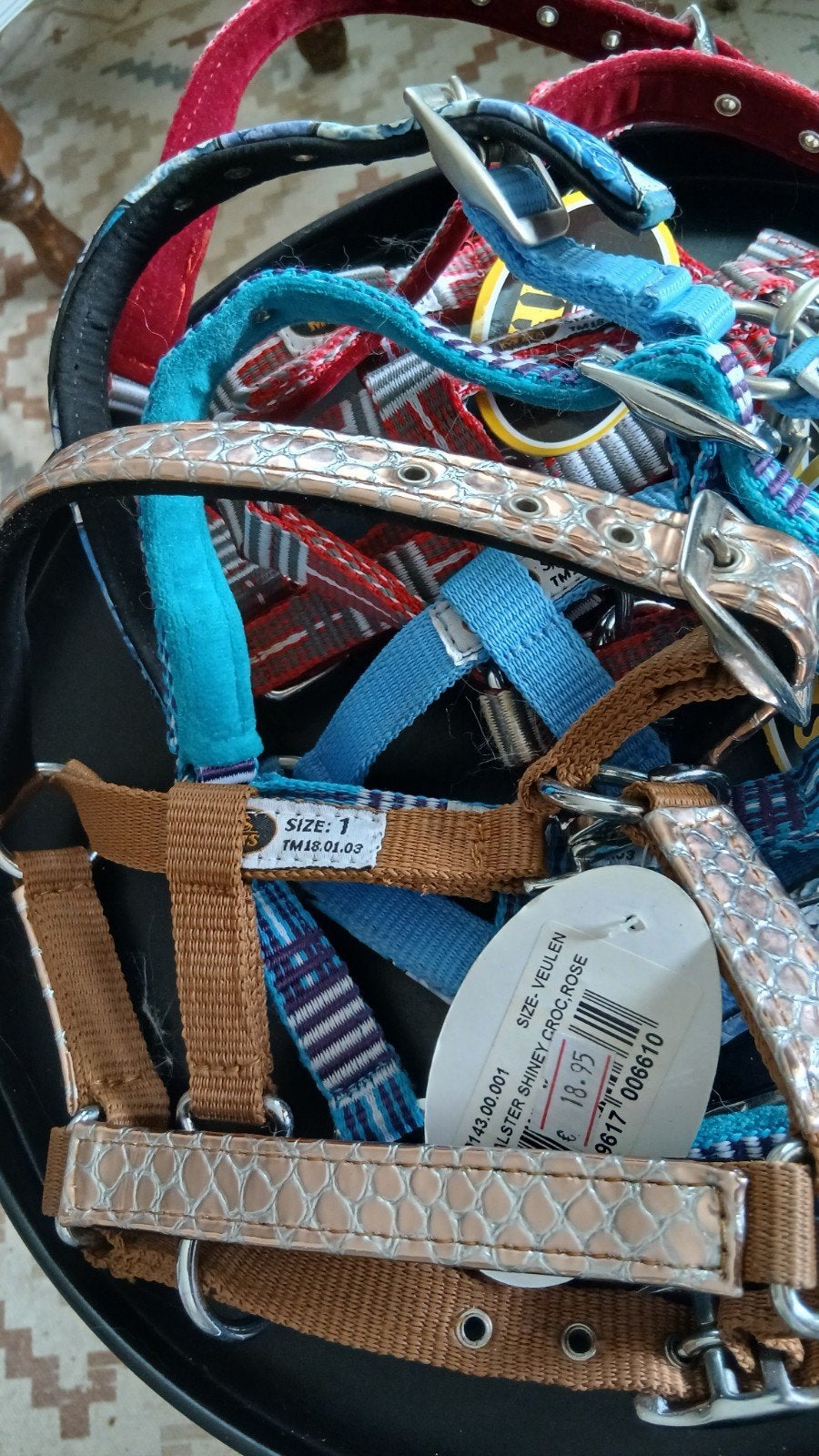 Mini halsters diverse kleuren en maten Nieuw, Dieren en Toebehoren, Ophalen of Verzenden, Nieuw, Recreatie