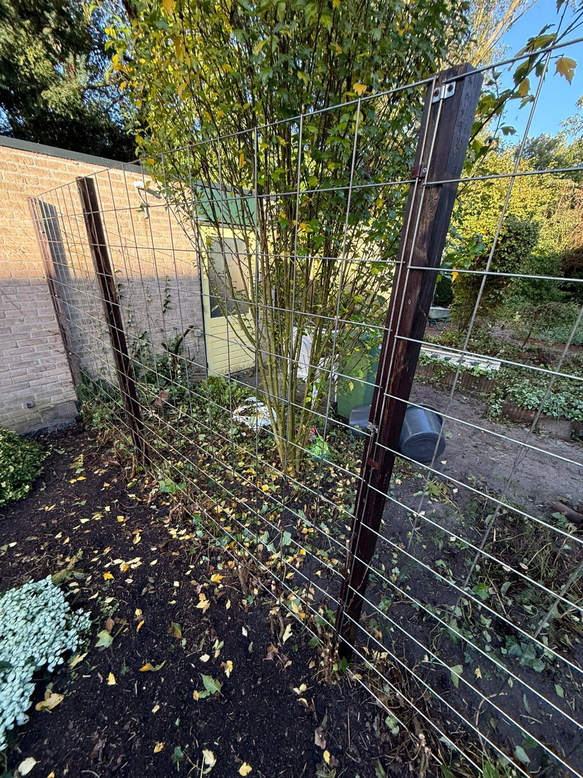 Tuin hek en hard houten palen, Ophalen, Gebruikt, Minder dan 10 meter, Overige typen