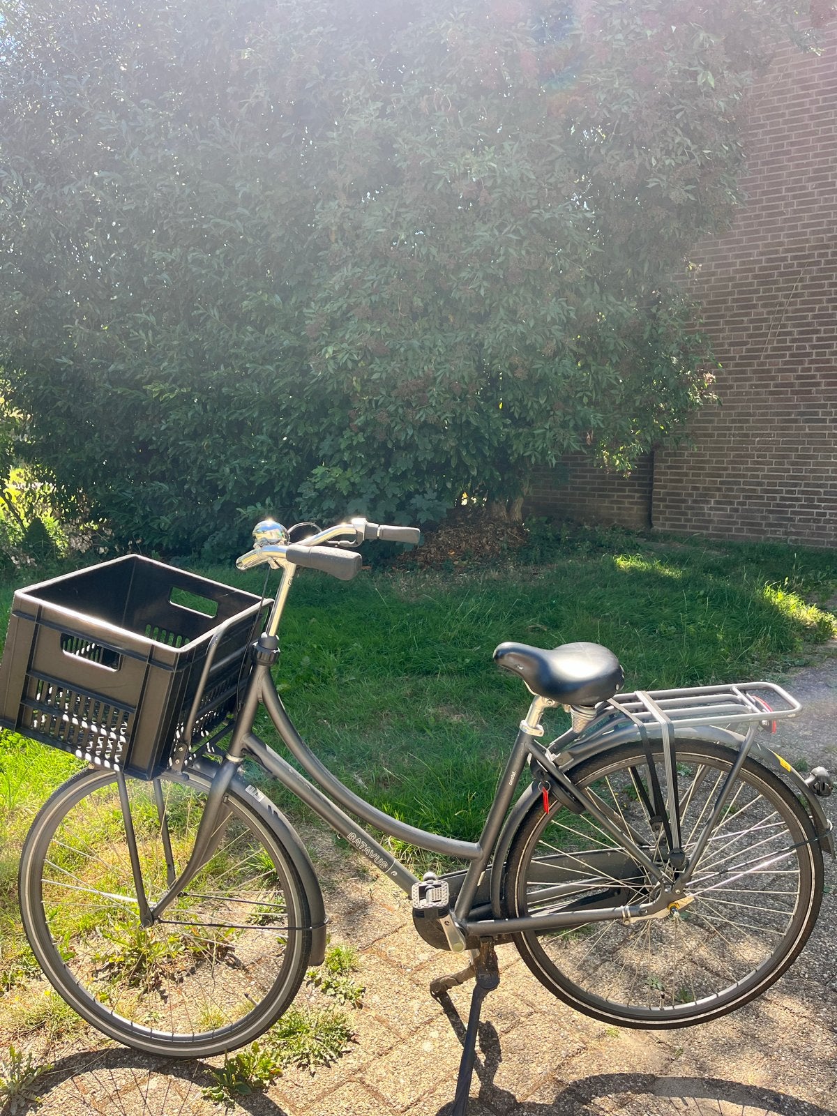 Batavus transportfiets met krat, Ophalen, Terugtraprem, Batavus, 53 tot 56 cm