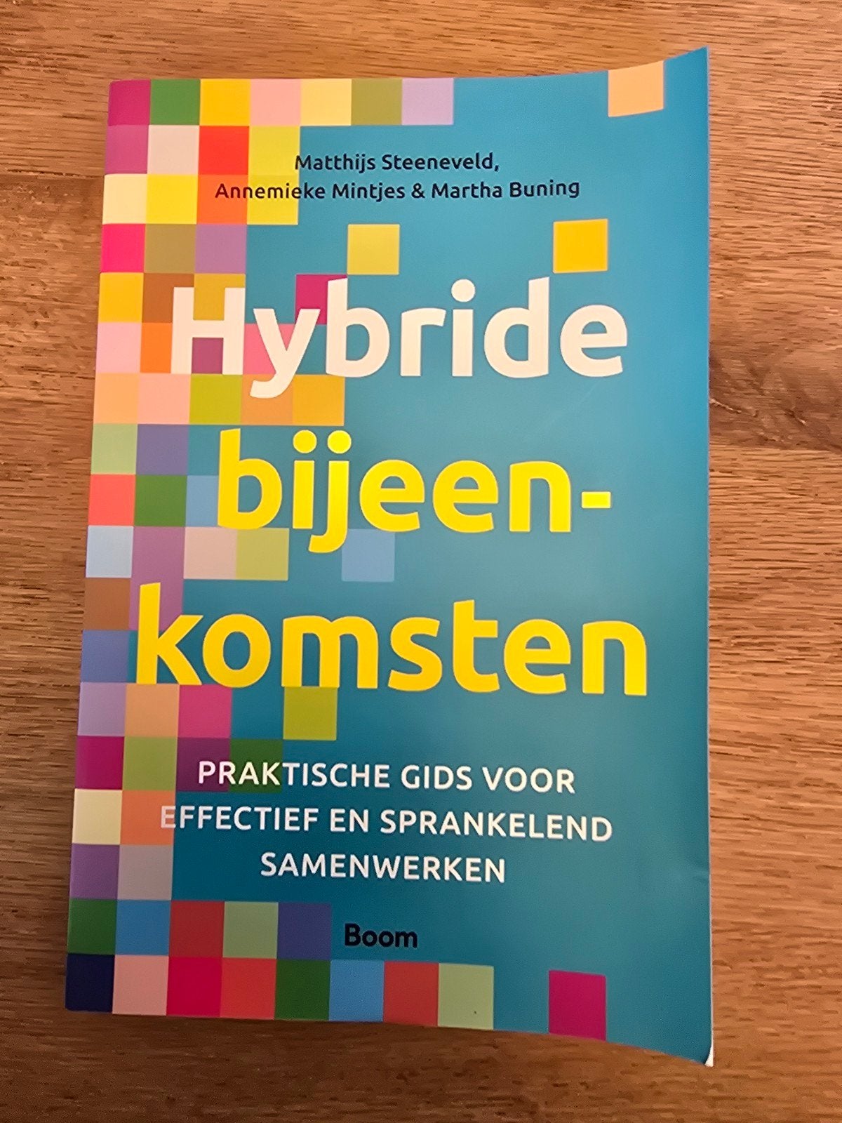 Hybride bijeenkomsten - Praktische gids, Matthijs Steeneveld, Annemieke Mintjes & Martha Buning, Niet van toepassing, Ophalen of Verzenden