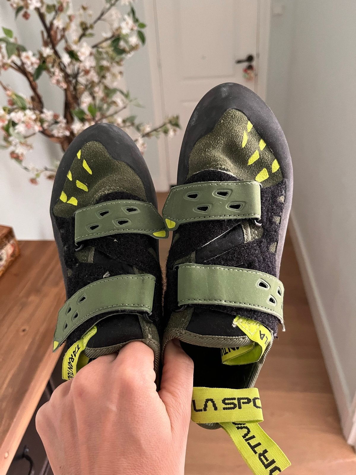 La Sportiva Tarantula Klimschoenen - Maat 38.5, Sport en Fitness, Klimsport, Ophalen, Zo goed als nieuw, Klimsportschoenen