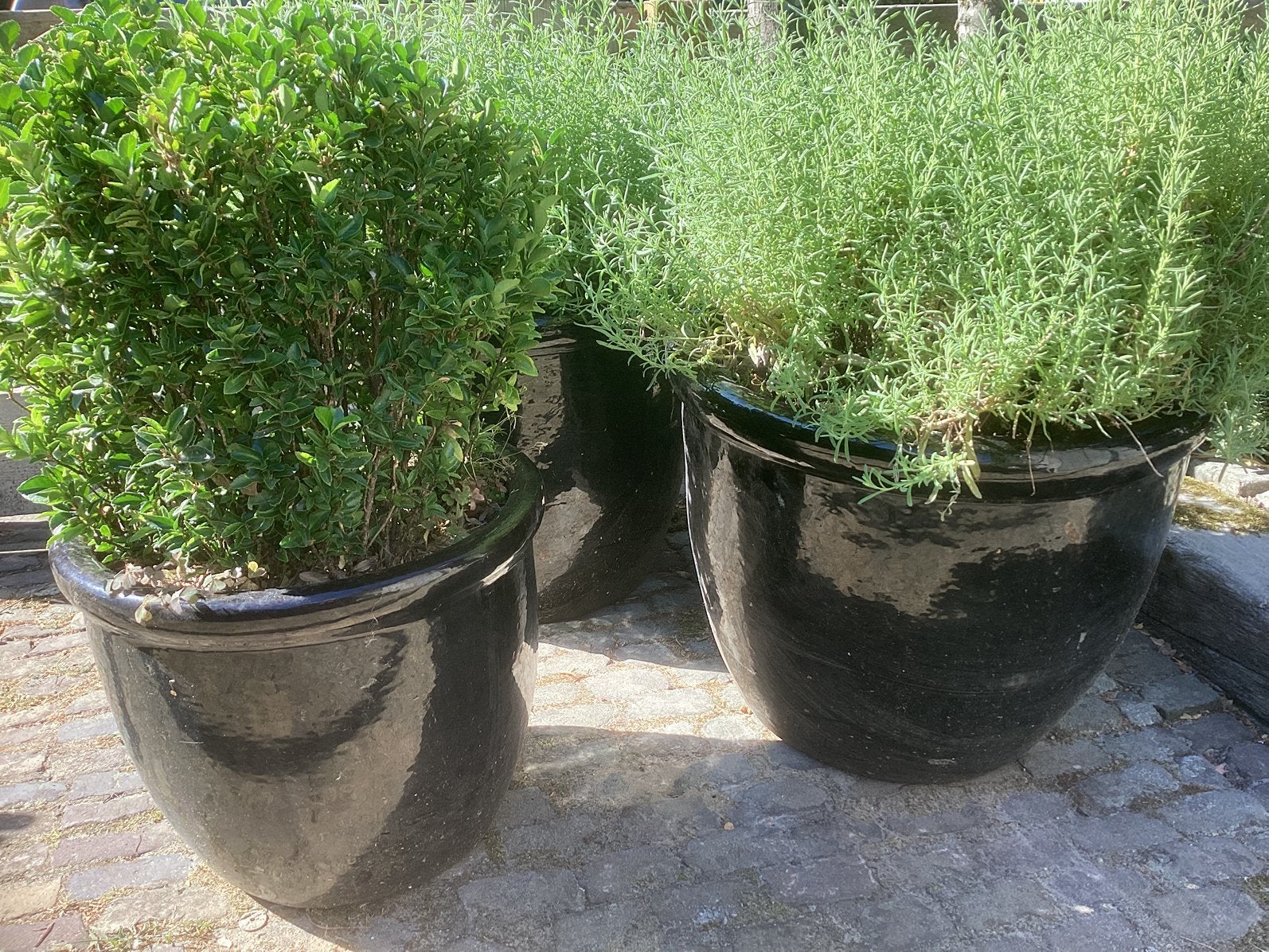 Potten, Tuin en Terras, Ophalen, Overige soorten, Volle zon
