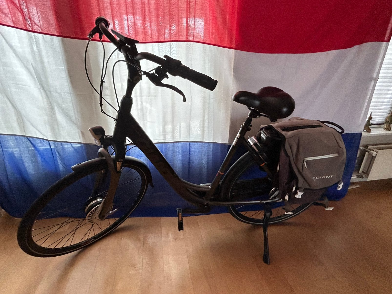 Giant easy e fiets, Ophalen, Zo goed als nieuw, Overige merken