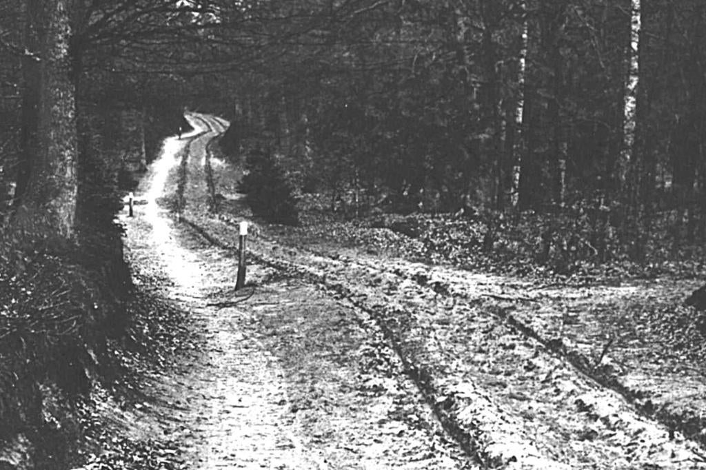 966467 Elspeet Poolsche weg 1951 Gelopen met postzegel, Ophalen of Verzenden, 1940 tot 1960, Gelopen, Noord-Holland