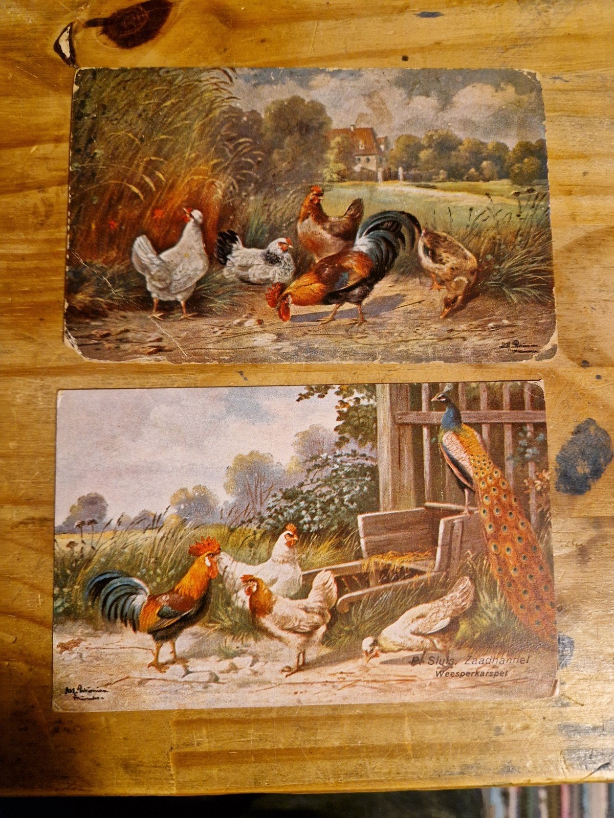2 Oude Ansichtkaarten Gelopen reclame kaart sluis voor 1920, Verzamelen, Ophalen of Verzenden, Voor 1920, Gelopen