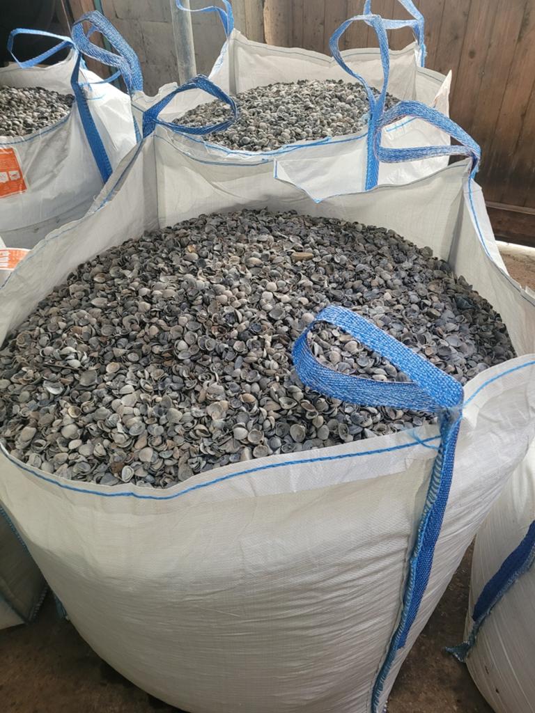 Schone blauwe schelpen, Tuin en Terras, Ophalen of Verzenden, Zo goed als nieuw