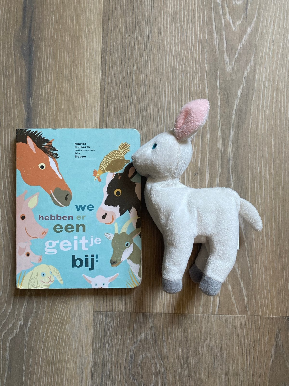 We hebben er een geitje bij! Boek met knuffel, Fictie algemeen, Jongen of Meisje, Zo goed als nieuw, 4 jaar
